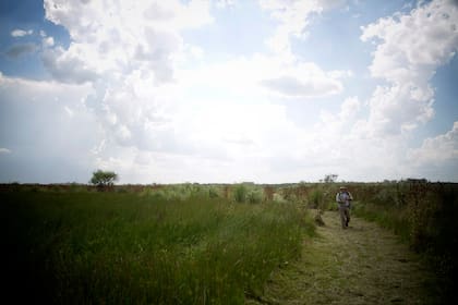 En la zona crecen palmeras de la variedad pindó, característica de la región y señalada varias veces como extinta por la extracción informal para venderlas
