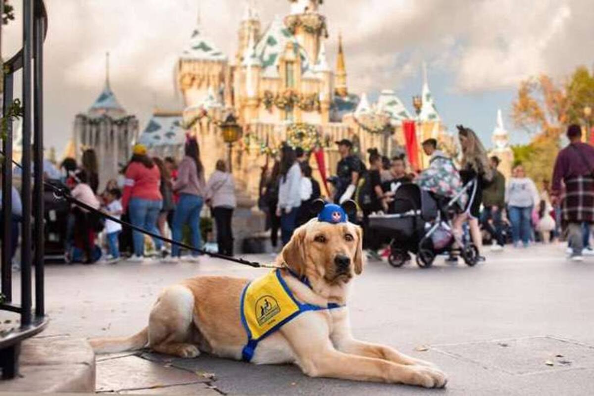 Elijah tuvo foto con los personajes más entrañables