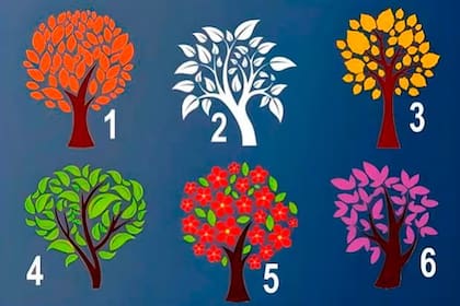 Elije un árbol y fíjate cuál es el resultado