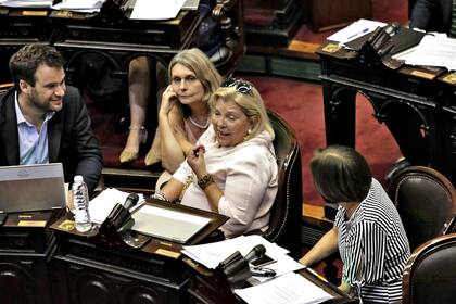 Elisa Carrió