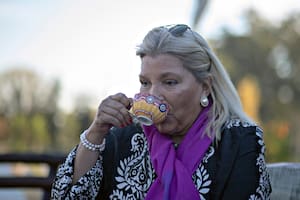 Elisa Carrió busca promover el recambio general en su partido
