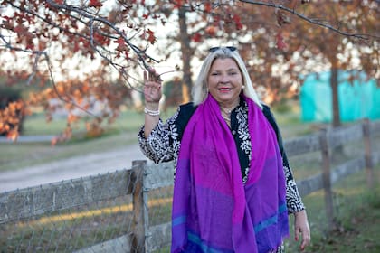 Elisa Carrió, en su casa de Capilla del Señor