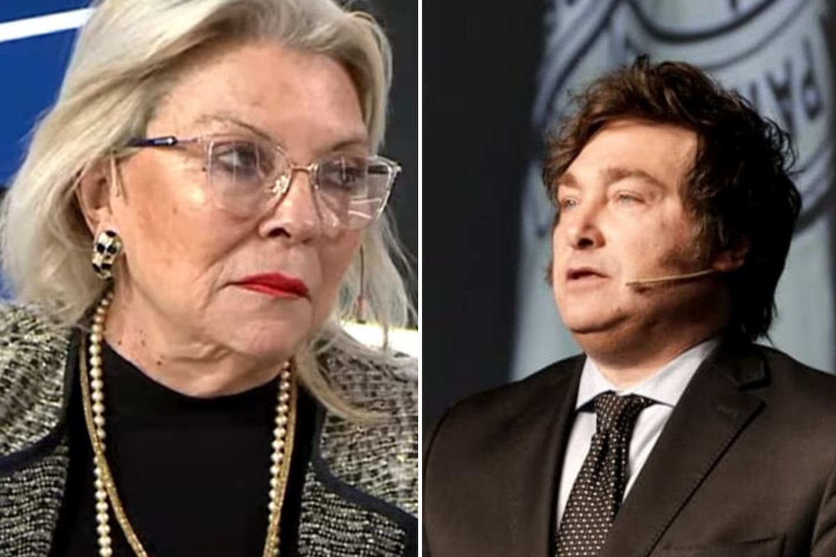 Carrió questionou coluna de Milei no Financial Times sobre Inteligência Artificial: ‘Um experimento catastrófico’