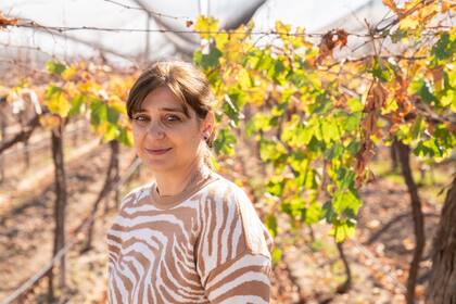 Elizabeth Panella tenía una carrera establecida como contadora cuando heredó un viñedo familiar en Mendoza