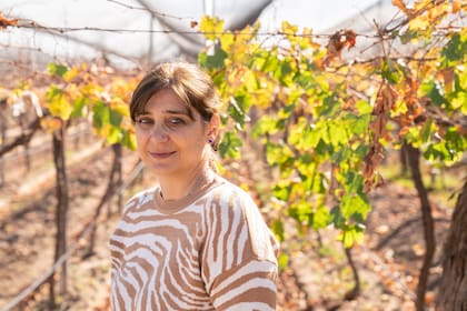 Elizabeth Panella tenía una carrera establecida como contadora cuando heredó un viñedo familiar en Mendoza