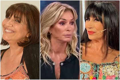 Elizabeth Vernaci, Yanina Latorre y Marixa Balli, las tres protagonistas de una batalla verbal que recién parece estar comenzando