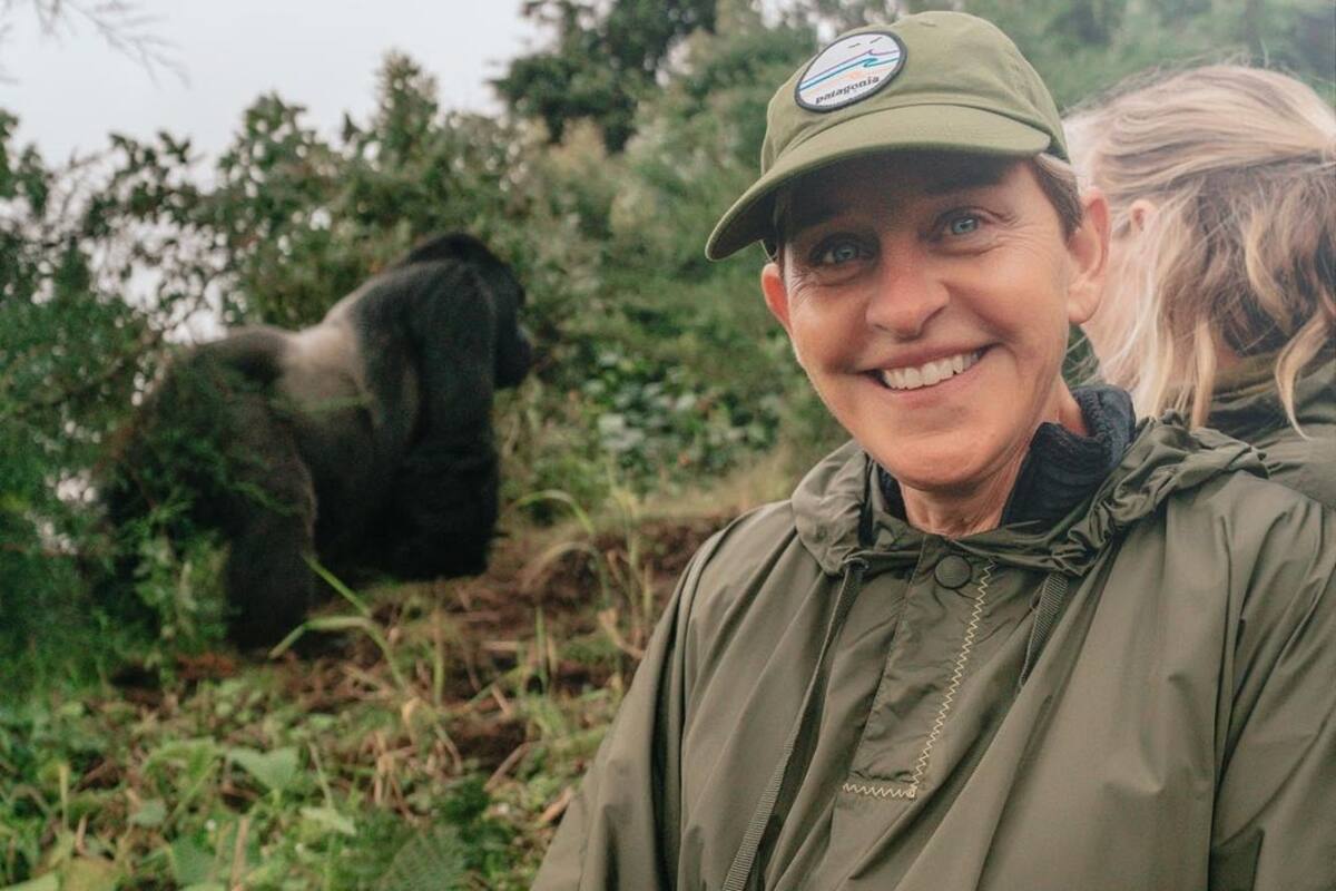 Ellen DeGeneres abrió al público su santuario de gorilas