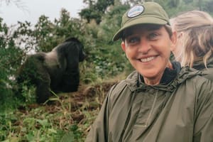 Ellen DeGeneres abrió al público su santuario de gorilas