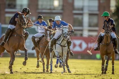 Ellerstina Johor vs. La Dolfina Polo Ranch