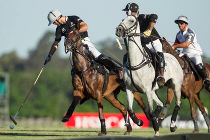 Ellerstina le ganó con autoridad a Magual