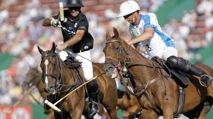 Ellerstina vs. Cria yatay