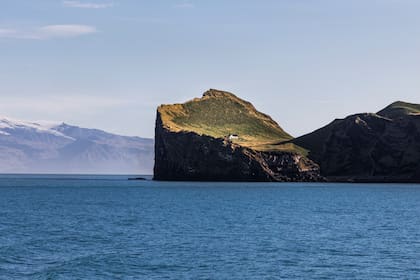 Ellidaey es considerada reserva natural y área protegida por ser una importante zona de anidación de aves marinas autóctonas