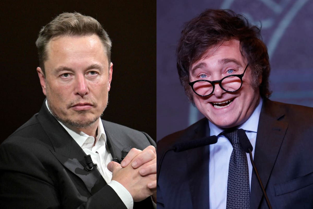 Elon Musk - Javier Milei