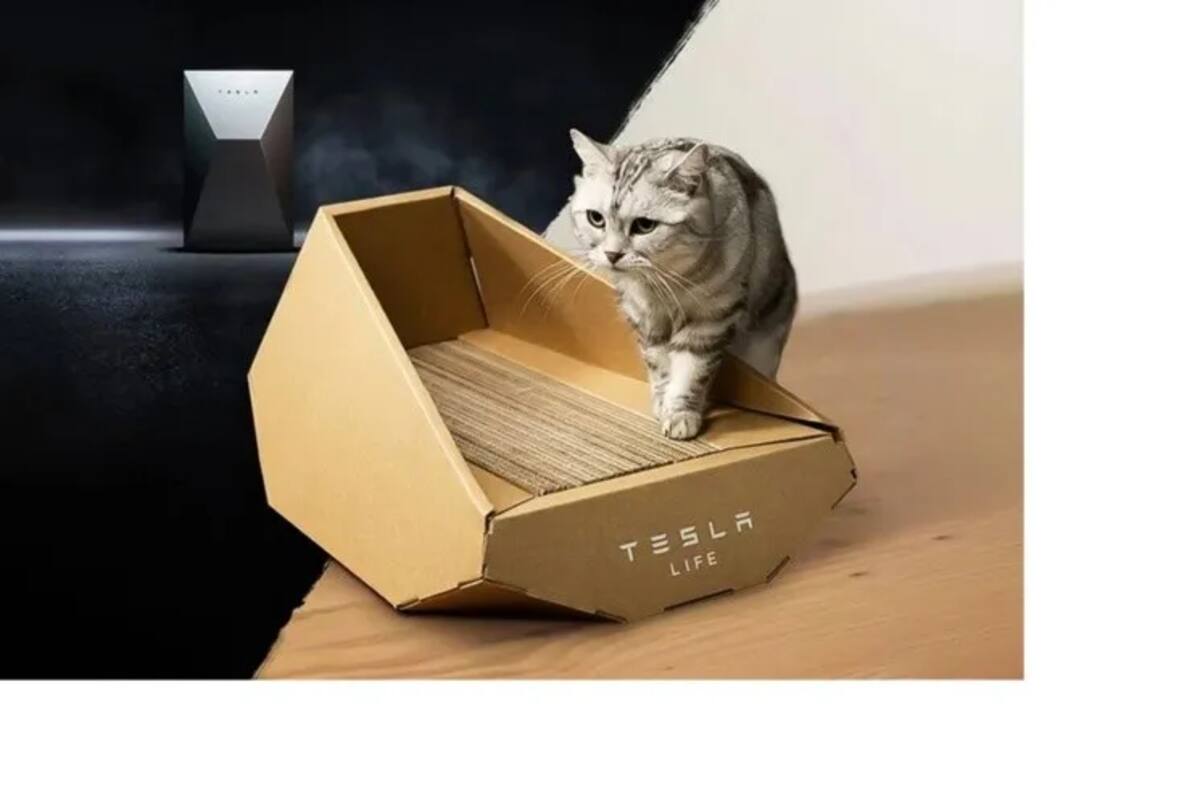 Elon Musk lanzó una caja de cartón para gatos