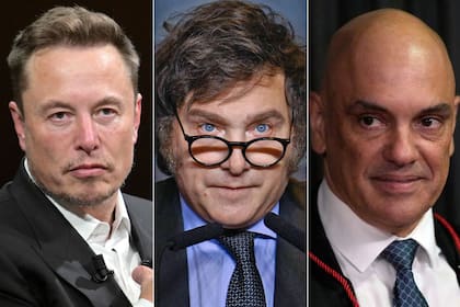 Elon Musk le pidió a Javier Milei interceder ante Alexandre de Moraes, el presidente de la Corte Suprema brasileña, que lo investiga por obstrucción a la Justicia