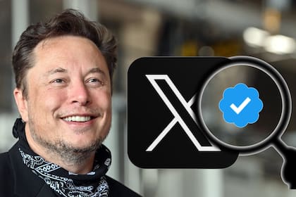 Elon Musk no comparte datos sobre X desde que compró la compañía, pero en octubre de 2022, la red social superaba los 500 millones de usuarios mensuales activos y los 215 millones diarios