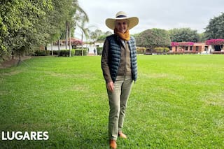 "Aprendieron el andar más suave del mundo y lo transmiten de generación en generación"