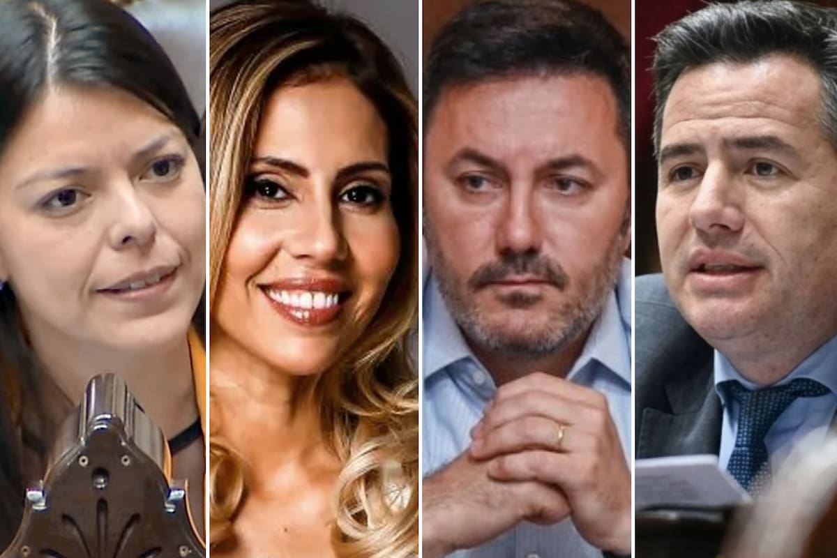 Emilia Orozco, Romina Diez, Luis Petri y Gabriel Bornoroni, algunas de las cartas libertarias para forzar acuerdos electorales con los gobernadores