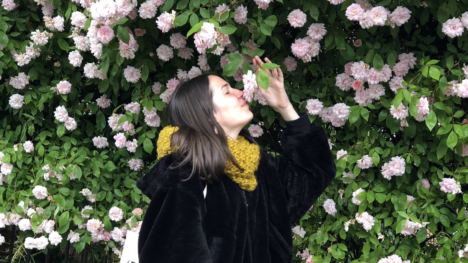 Emilia Serra Elli, una argentina en París.
