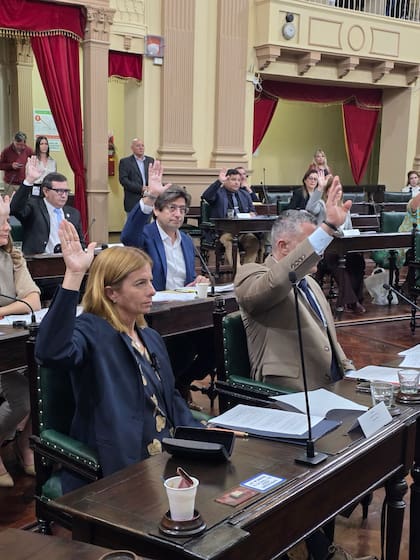 Emilia Subiza, del bloque Hechos-UCR Identidad