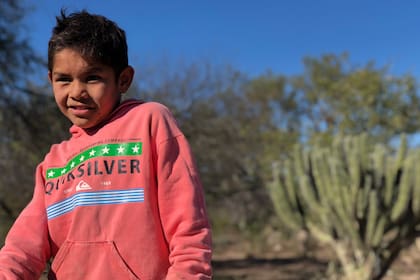 Emiliano sabe manejar la zorra (carro tirado por un burro) con la que busca agua y junta leña.