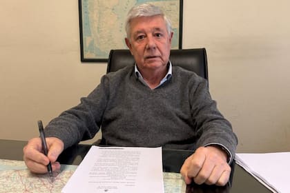 Emir Carrillo, titular de Emir Carrillo & Asociados