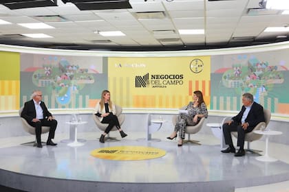 Emir Cesaroni (Banco de la Provincia de Buenos Aires), Verónica Tiberi (YPF Agro), la periodista Eleonora Cole y Ricardo Yapur (Rizobacter)