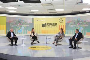 Emir Cesaroni (Banco de la Provincia de Buenos Aires), Verónica Tiberi (YPF Agro), Eleonora Cole (LN+) y Ricardo Yapur (Rizobacter)