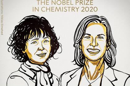 Emmanuelle Charpentier y Jennifer Doudna fueron elegidas para recibir el Premio Nobel de Química 2020 por sus aportes al desarrollo de la técnica para "cortar y pegar genes" Crispr-Cas9