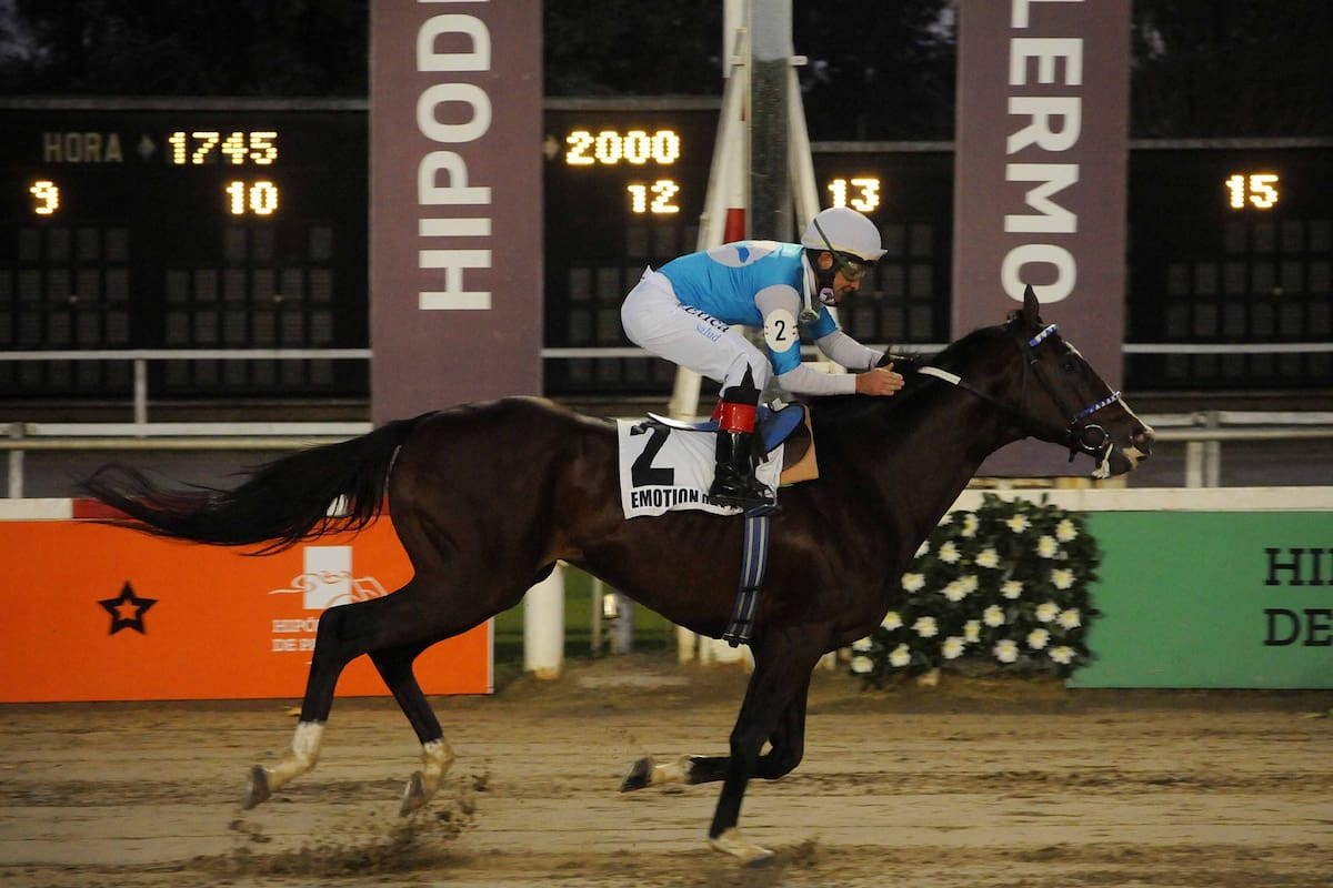 Emotion Orpen logró su tercer Grupo 1 en su tercer intento en el Gran Premio Estrellas Classic, en Palermo.
