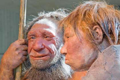 Emparejamiento entre neandertales y mujeres humanas podría haber sido más frecuente, dice estudio