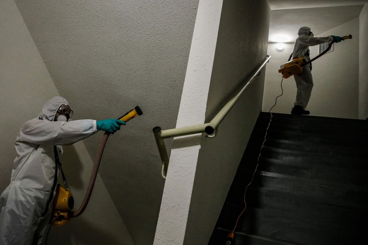 Empleados de sanidad desinfectan un edifico en Santiago