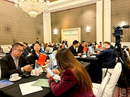 Empresas chinas en la Argentina