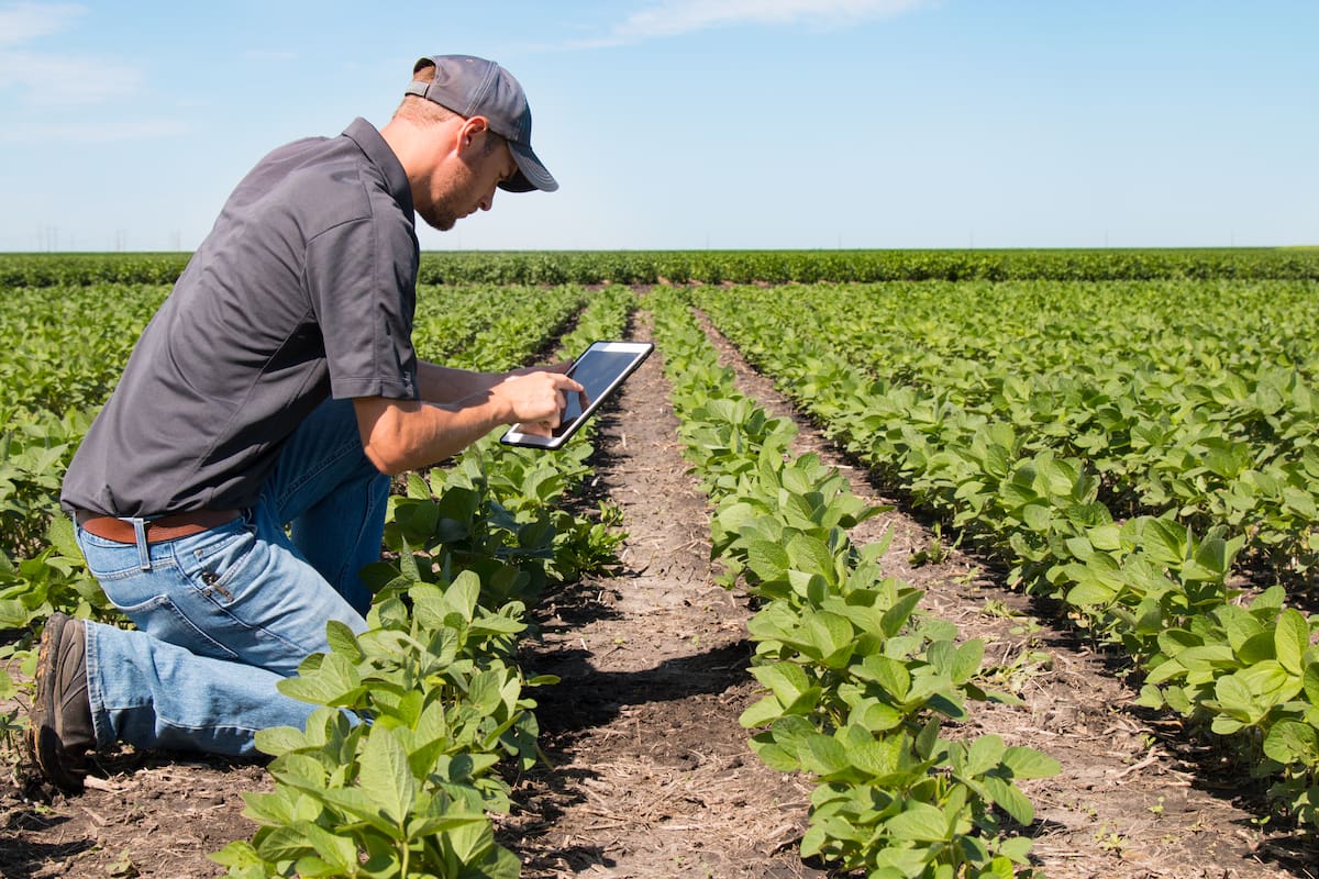 Empresas del agro, clubes y organizaciones se transforman