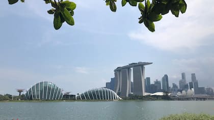 En 1965, Singapur tenía serios problemas: desempleo, mano de obra mal educada, vivienda de mala calidad. Los británicos lo habían convertido en un país de reexportación a través de su puerto. La idea fue convertir a Singapur en un país exportador. Para resolver los problemas del país a la vez que at