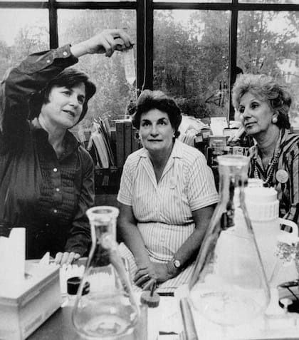 En 1983, Abuelas convoca a científicos norteamericanos. Aquí, la genetista Mary Claire King les explica a Nélida Navajas y Estela de Carlotto el "índice de abuelidad"