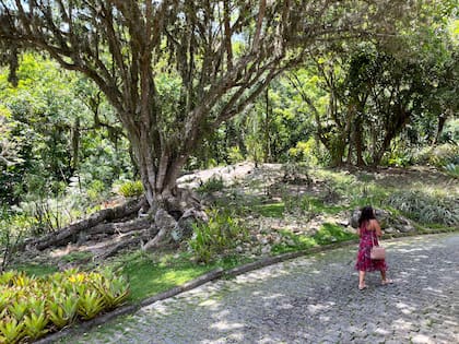En 1985, nueve años antes de su muerte, donó su casa y jardines al estado, deseoso de que el visitante pudiese ver “el país fabuloso que es Brasil", por lo menos desde el punto de vista botánico