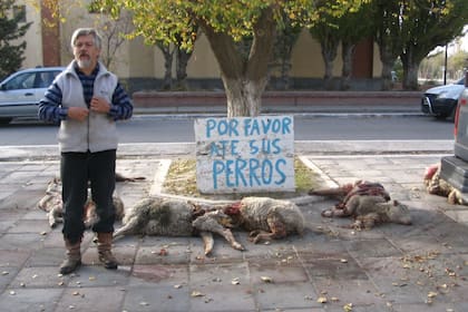 En 2008 el productor Oscar Jensen Lloyd también había sufrido el ataque a sus ovejas y llevó los animales muertos hasta la Municipalidad