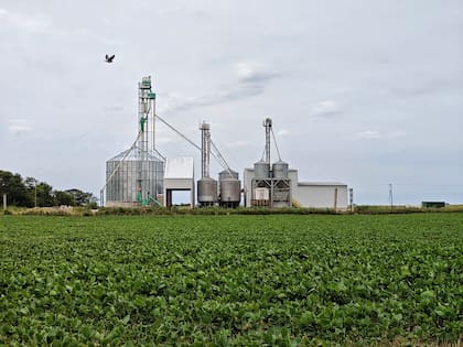 En 2008, Franke en el campo familiar vio la oportunidad de aumentar el giro de la empresa, agregar valor a la producción de granos y armó un criadero de cerdos