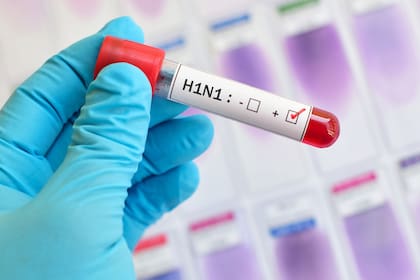 En 2009 el H1N1 también fue pandemia, pero la gripe porcina no obligó a definir cuarentenas masivas