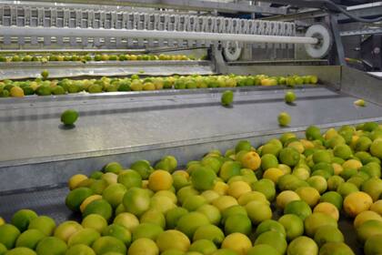 En 2019 la empresa exportó por primera vez a EE.UU.