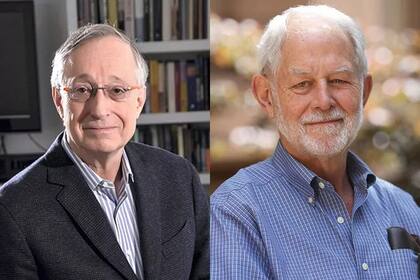 En 2020 el Nobel de Economía recayó sobre Paul R. Milgrom y Robert B. Wilson