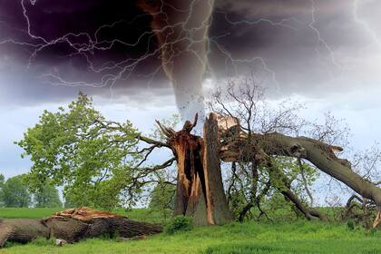 En 2020, según los especialistas, la actividad ciclónica sería más intensa que otros años.