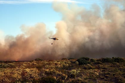 En 2021, el segundo peor año registrado en cuando a incendios, se perdió un área del tamaño de Portugal (Foto ilustrativa: Pixabay)