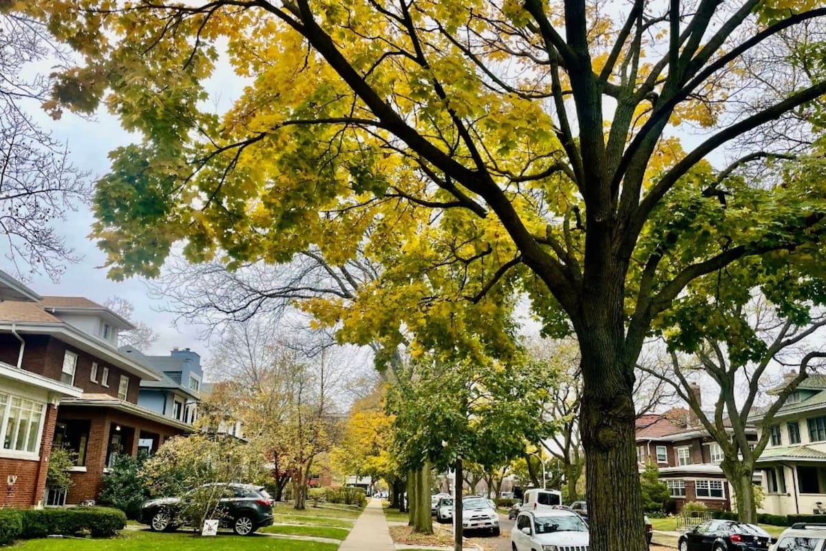 En 2022, este barrio ocupo el quinto sitio como mejor lugar para vivir en todo Estados Unidos