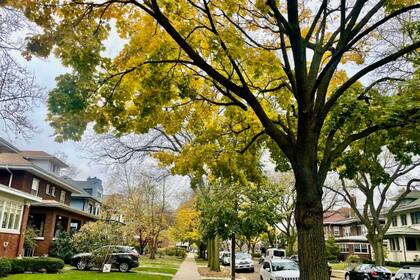 En 2022, este barrio ocupo el quinto sitio como mejor lugar para vivir en todo Estados Unidos
