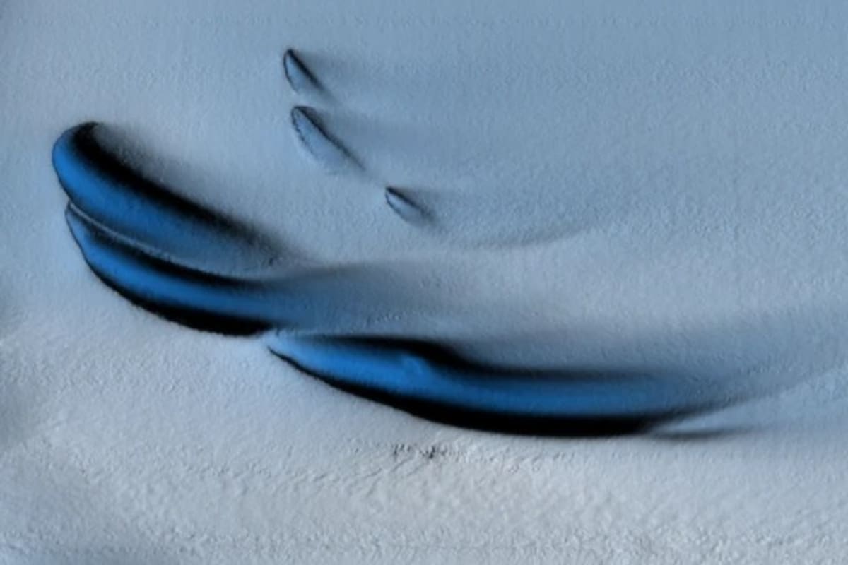 En 2022, un equipo internacional de científicos dirigido por Wåhlin bajó un sumergible no tripulado debajo de un hielo antártico de 350 metros de espesor