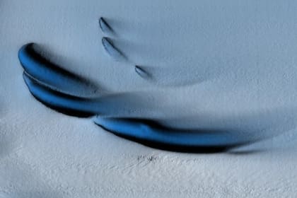 En 2022, un equipo internacional de científicos dirigido por Wåhlin bajó un sumergible no tripulado debajo de un hielo antártico de 350 metros de espesor