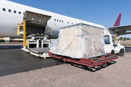En 2023 se exportaron 800.000 dosis de semen de razas carniceras