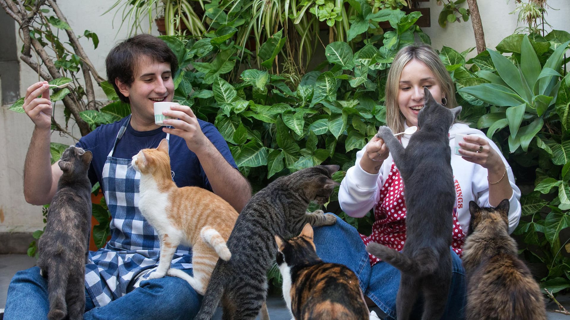 En Abasto, Cat Café solicita una reserva previa a través de redes sociales